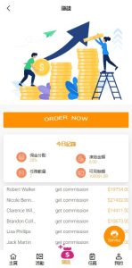 Overseas Order Grabbing E-commerce Order System/Manual Dispatch/Group Mode/Balance Treasure/General Agent/Agent