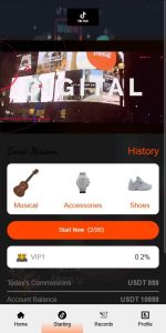 Overseas TIKTOK Order-Grabbing E-commerce Order System / Chain Orders & Stuck Orders / Vue Frontend