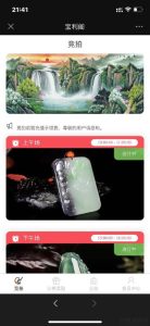 Antique Cultural Relics Calligraphy and Paintings Consignment System Source Code – Auction System Source Code – Bidding System Source Code – Transfer Auction System